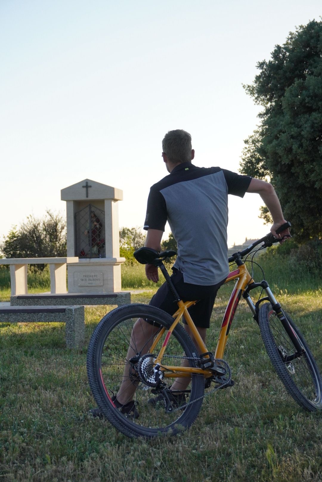 MTB